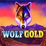 Wolf Gold